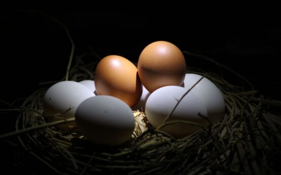 A basket with brown and white eggs beautifully illuminated in a dark setting.