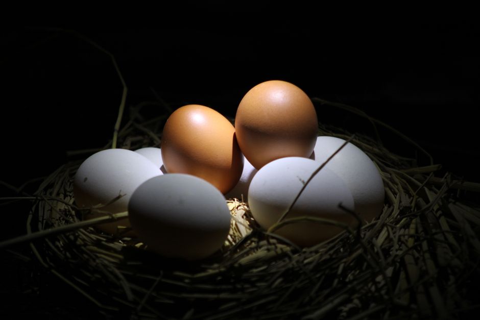 A basket with brown and white eggs beautifully illuminated in a dark setting.